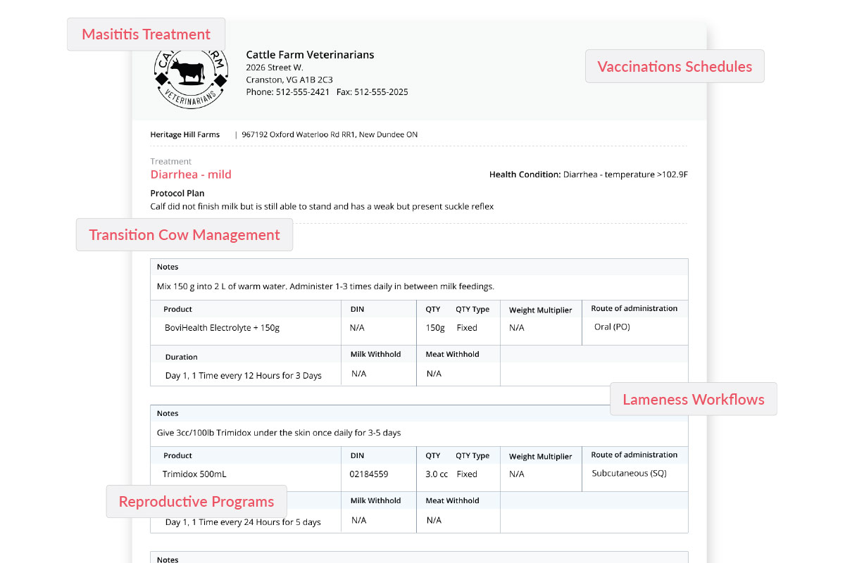 Protocols as quality anchors Protocols as quality anchors